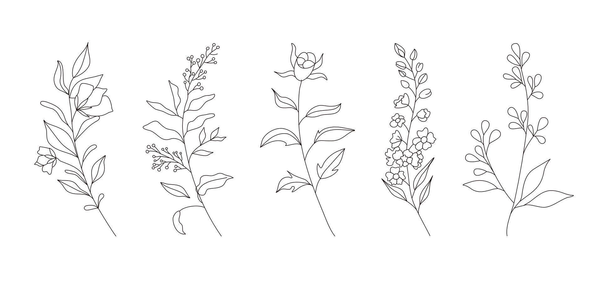 hand- getrokken wild veld- flora, bloemen, bladeren, kruiden, planten, takken. minimaal bloemen botanisch lijn kunst. vector illustratie voor logo of tatoeëren, uitnodigingen, opslaan de datum kaart