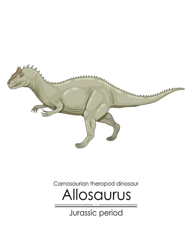 allosaurus, een groot vleesetend roofdier. vector