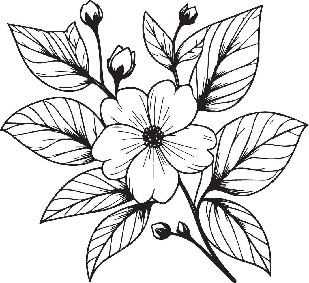 Arabisch jasmijn bloem tatoeëren, minimalistische schets jasmijn bloem tatoeëren, zwart en wit jasmijn bloem tekening, tekening botanisch jasmijn bloem, wetenschappelijk jasmijn botanisch illustratie vector