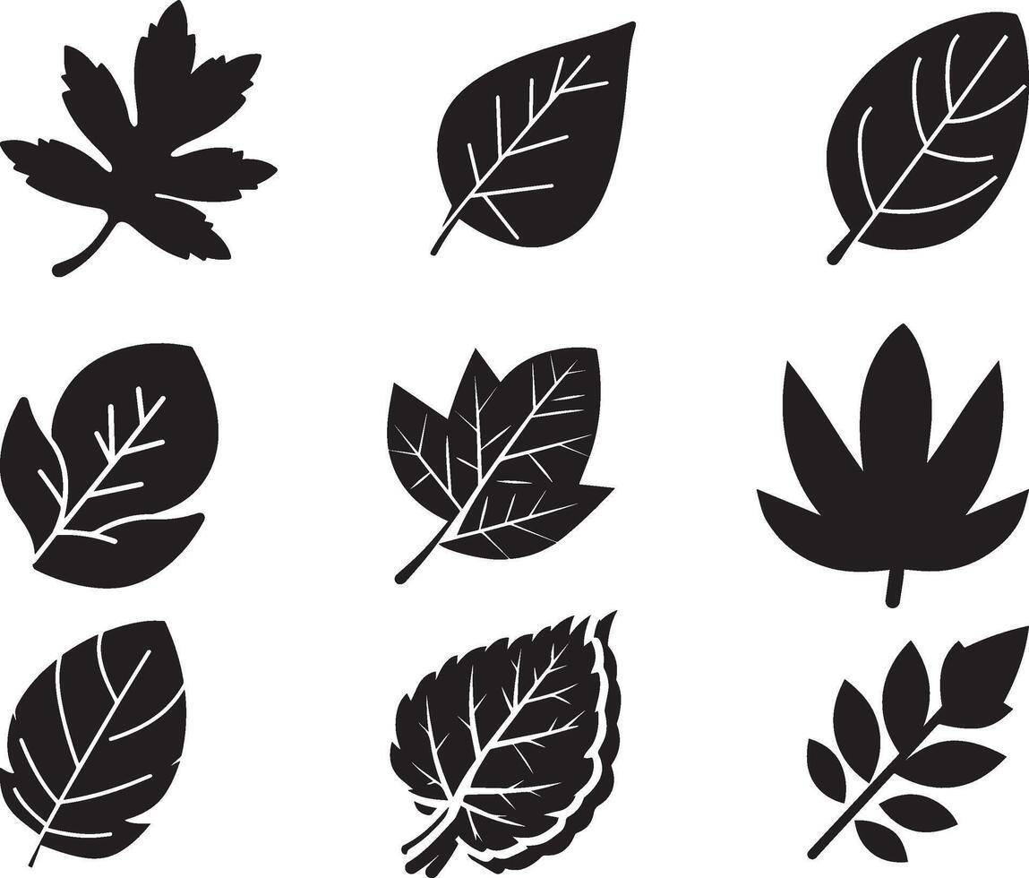 zwart blad reeks van vector geïsoleerd van de achtergrond. blad icoon verschillend vorm in modern vlak stijl