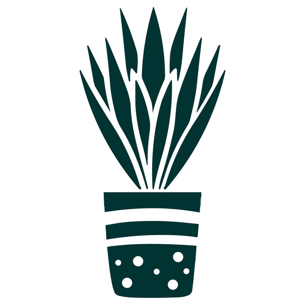 sansivera planten vector