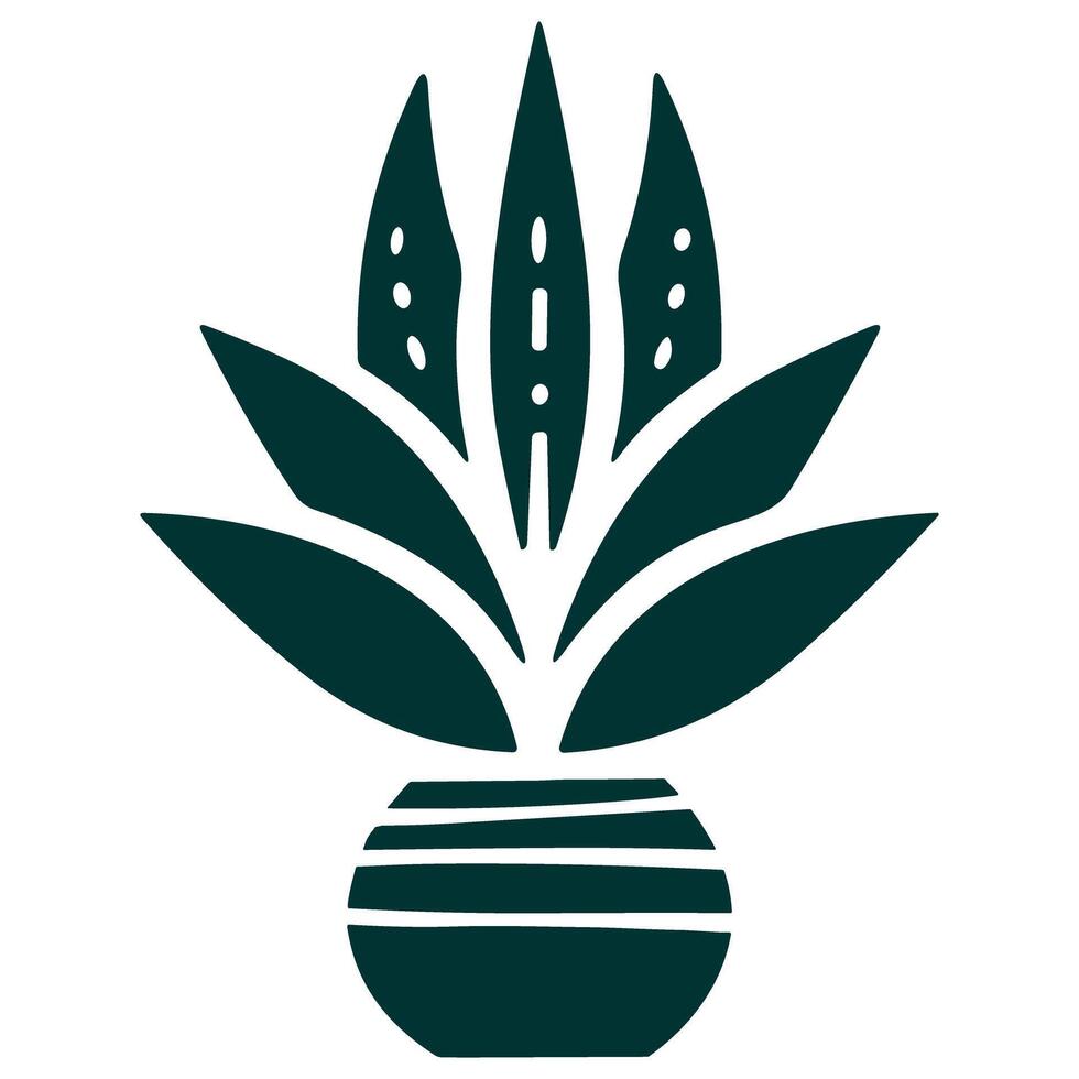 sansivera planten vector