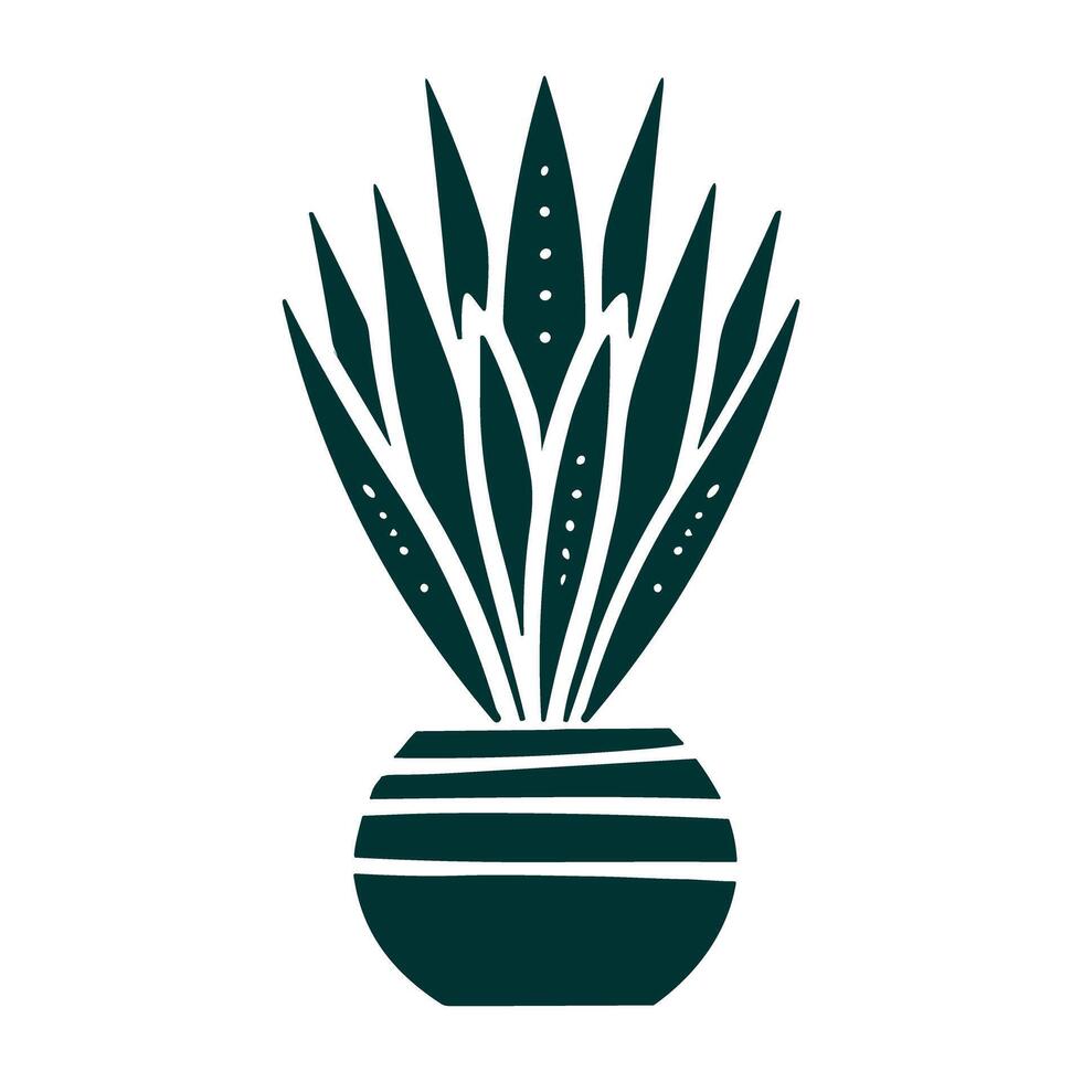 sansivera planten vector