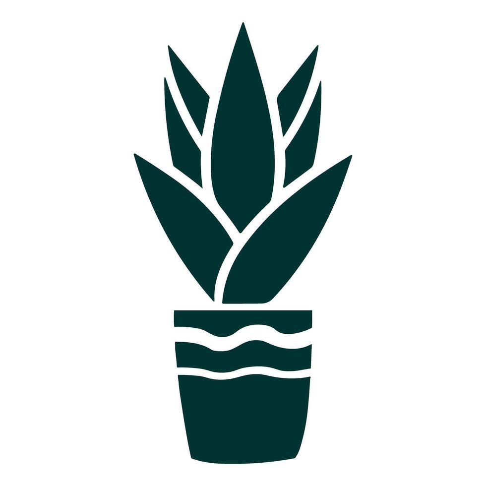 sansivera planten vector