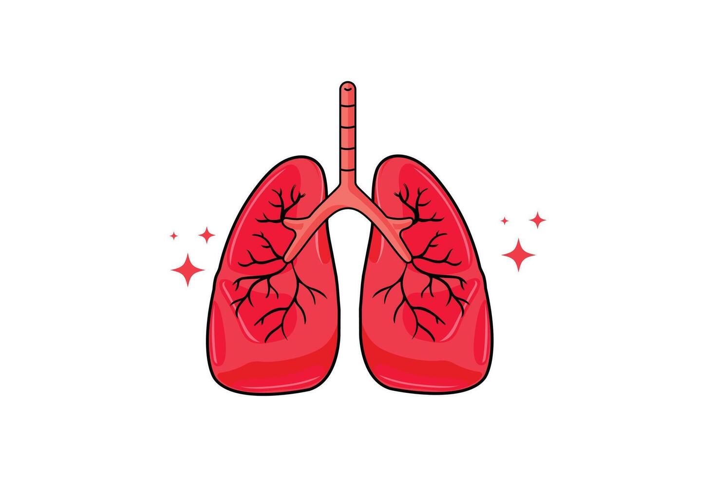 vector long menselijk anatomie biologie orgaan lichaam systeem Gezondheid zorg