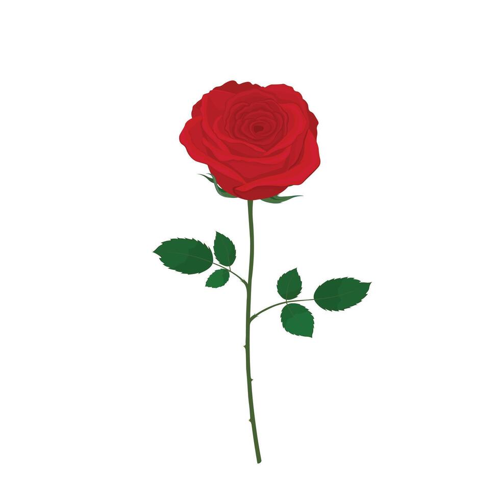 single bloeiend rood roos vlak vector geïsoleerd Aan wit achtergrond. hand- getrokken illustratie