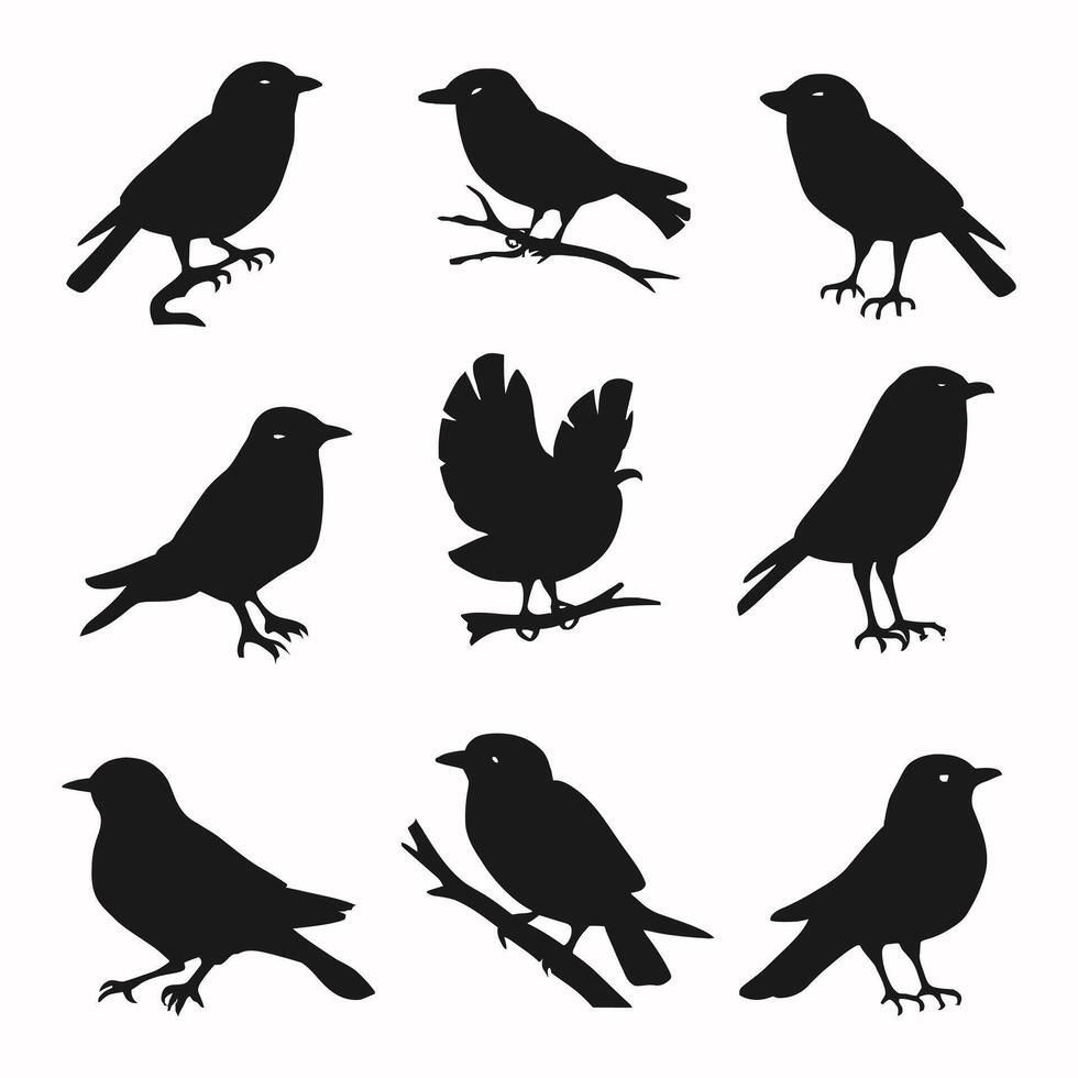 reeks van een kudde van vliegend verschillend vogelstand silhouetten verzameling van verschillend tekenfilm zwart vogelstand Aan wit achtergrond. vector illustratie.