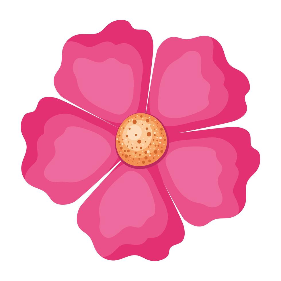 geïsoleerde roze bloem vector design