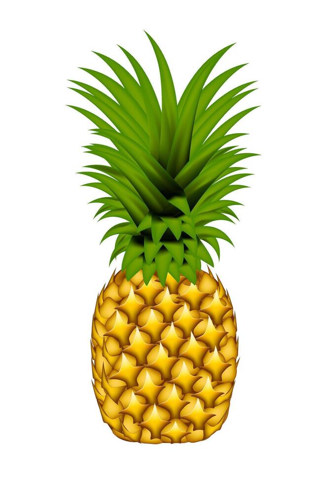 realistisch geheel ananas geïsoleerd Aan wit achtergrond. vector illustratie eps 10.