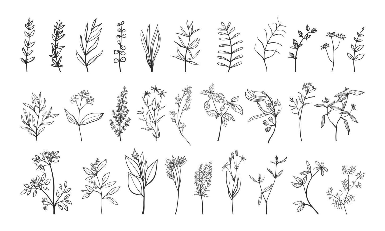 planten, takken en bloemen reeks in hand- getrokken stijl. monochroom gemakkelijk bloemen verzameling vector