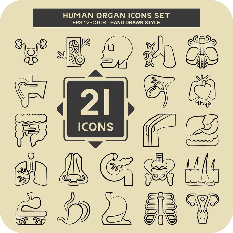 icoon reeks menselijk orgaan. verwant naar onderwijs symbool. hand- getrokken stijl. gemakkelijk ontwerp bewerkbaar. gemakkelijk illustratie vector