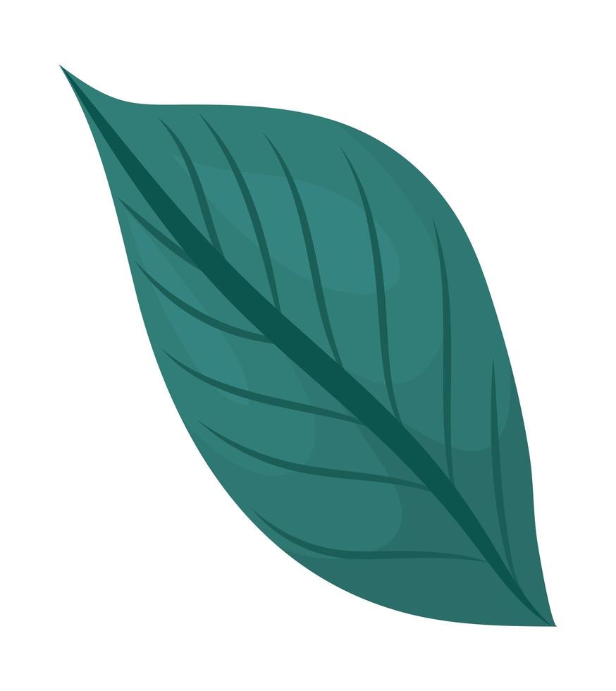 groen plantenblad vector