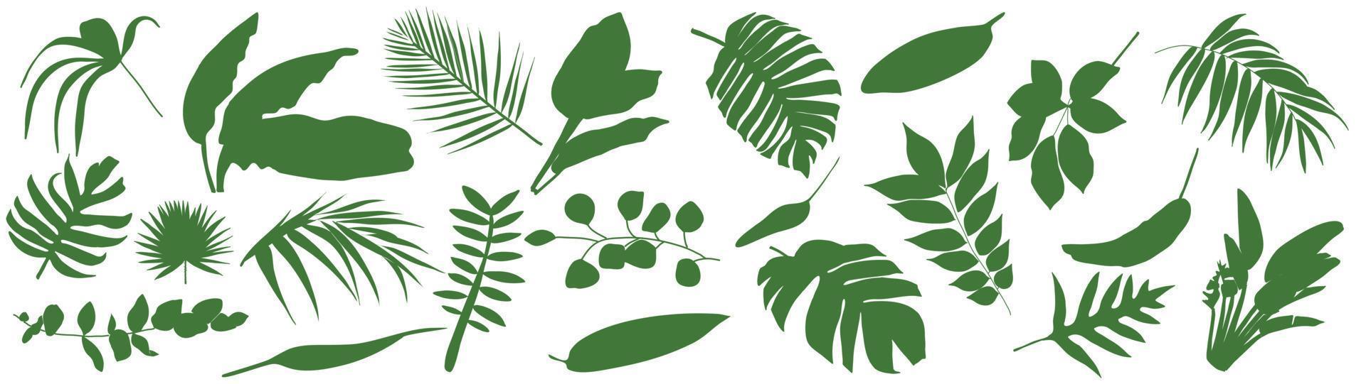 set van tropische bladeren. vectorillustratie van verschillende groene gebladerte geïsoleerd op wit. vector