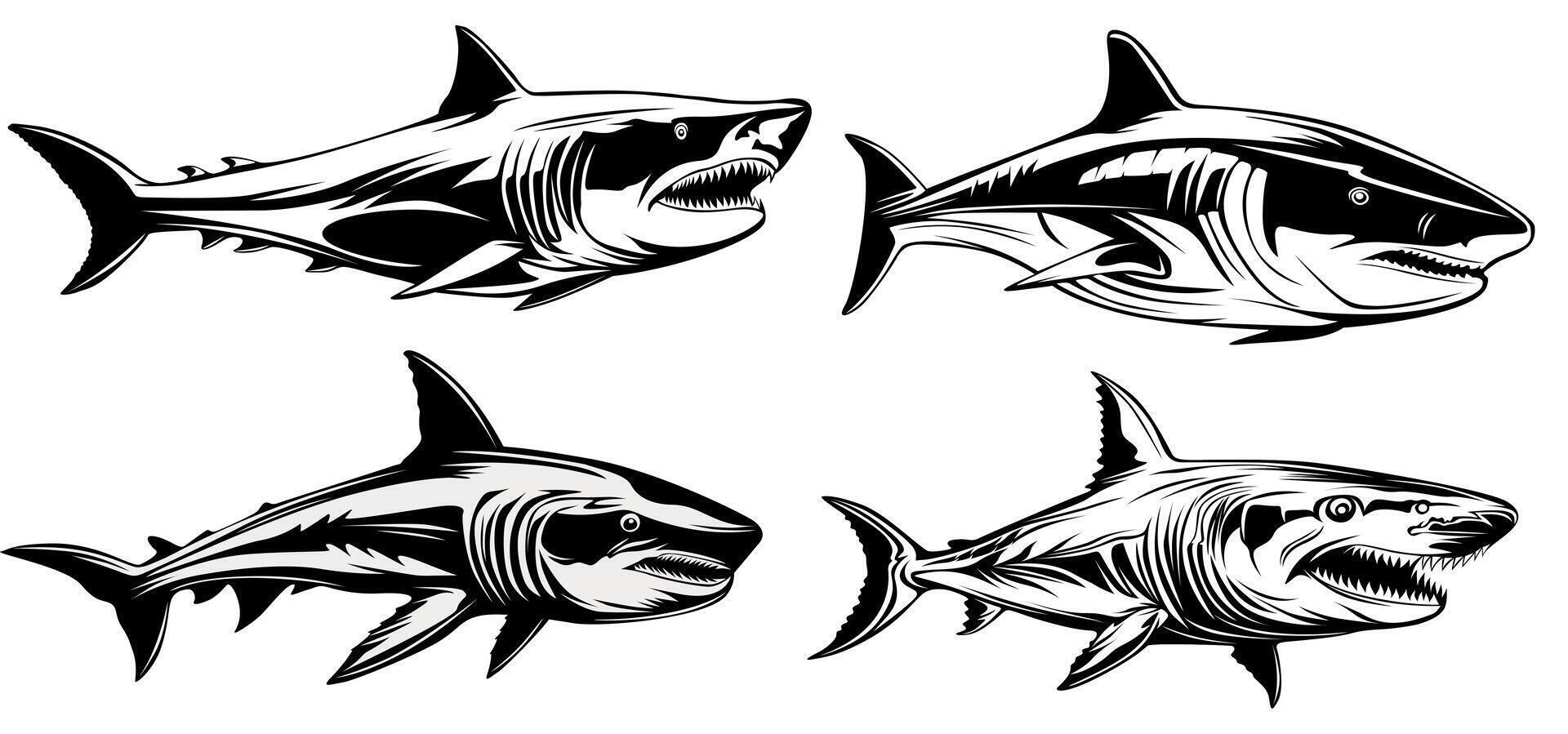 reeks wit haai icoon monochroom ontwerp vector illustratie