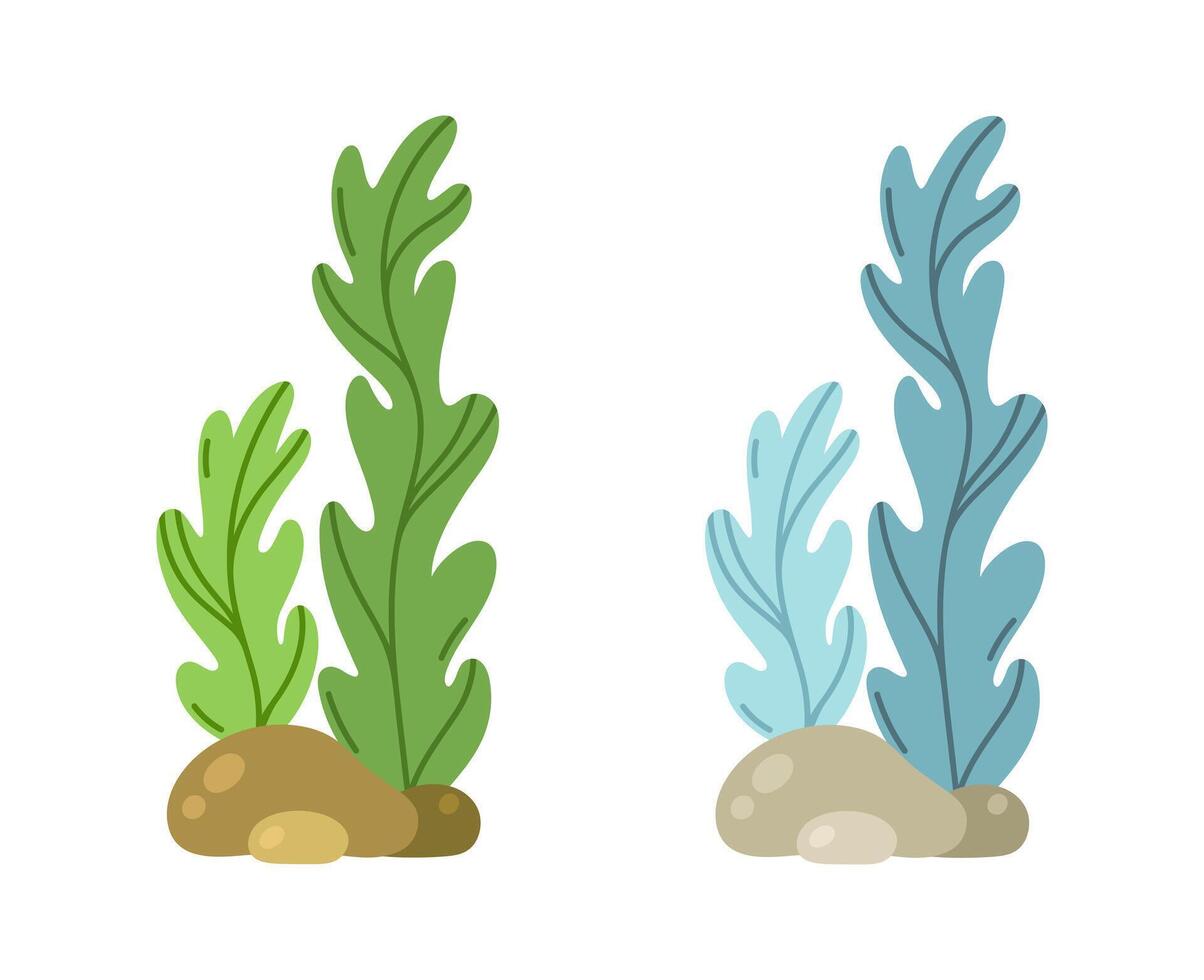 oceaan algen vector illustratie. eetbaar zee gras, kelp. kleurrijk groen zeewier Aan de zeebedding tussen de stenen. aquatisch rif diep water fabriek. hand- getrokken tekenfilm tekening. gemakkelijk vlak geïsoleerd clip art