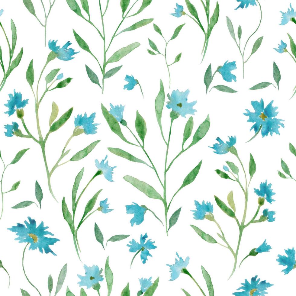 naadloos waterverf patroon met korenbloemen. hand- getrokken illustratie geïsoleerd Aan wit achtergrond. vector eps.