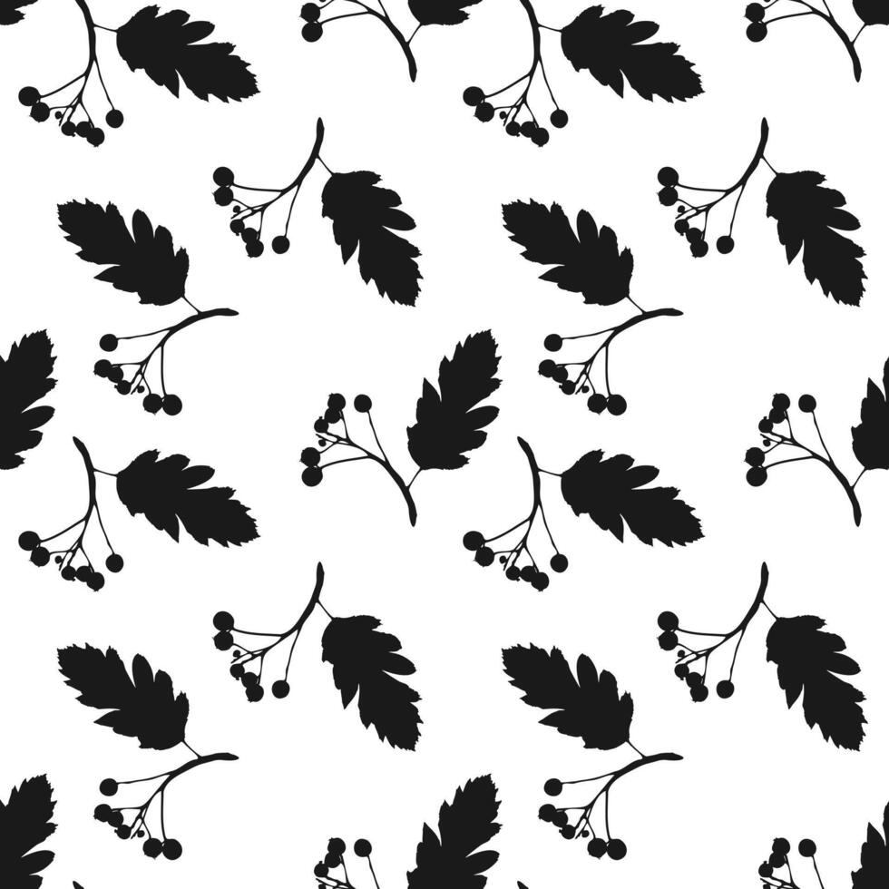 patroon lijsterbes Afdeling met bessen en blad afdruk, silhouet in zwart wit achtergrond. vector