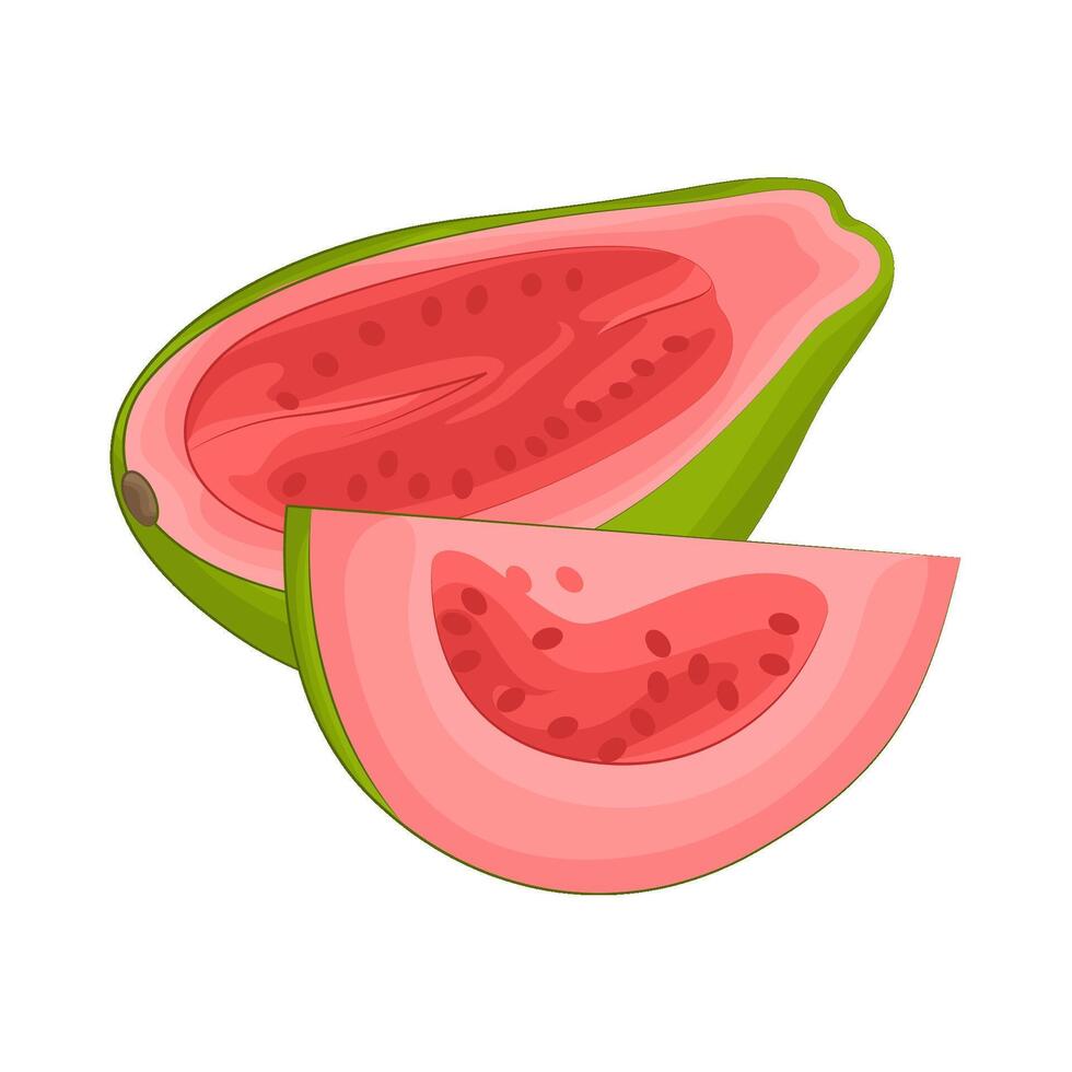 illustratie van guava plak vector