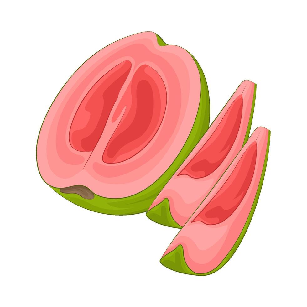 illustratie van guava plak vector