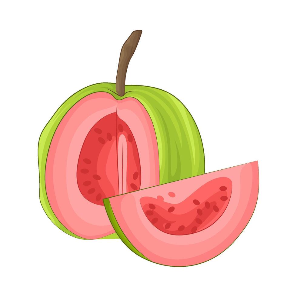 illustratie van guava vector