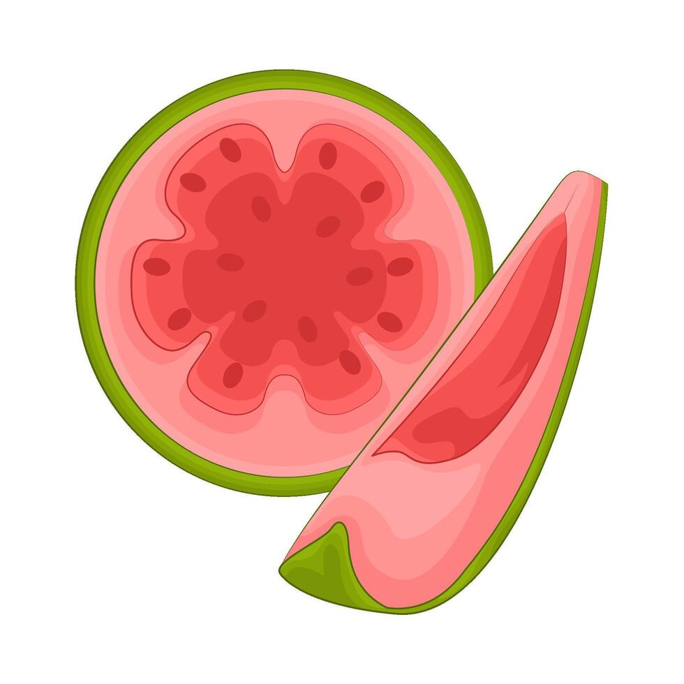 illustratie van guava plak vector