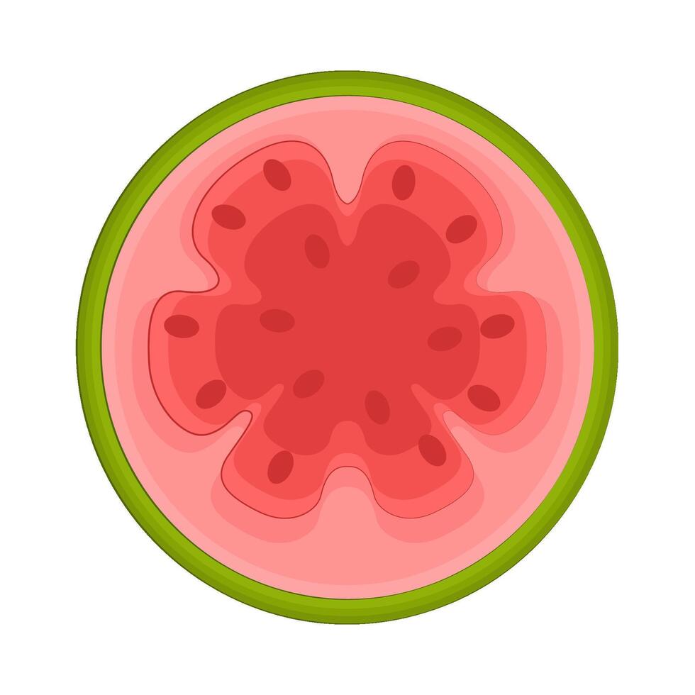 illustratie van voor de helft guava vector