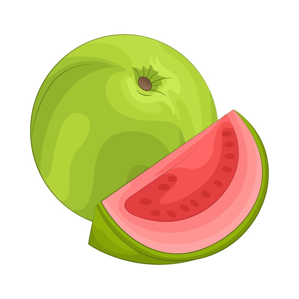 illustratie van guava vector