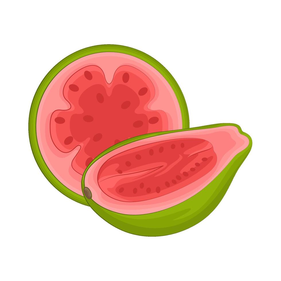 illustratie van voor de helft guava vector