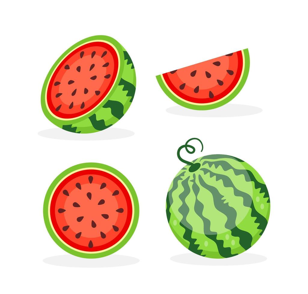 reeks vers watermeloen. zomer fruit verzameling. sappig geheel watermeloenen en plakjes. vector illustratie