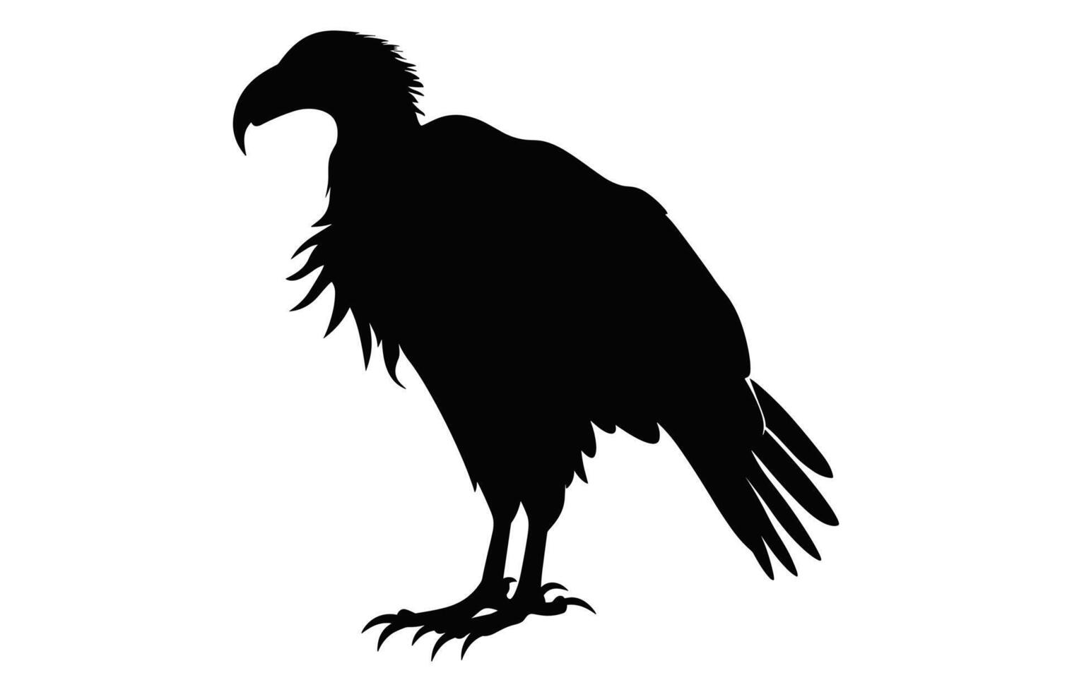 groot griffon gier silhouet geïsoleerd Aan een wit achtergrond, een vliegend griffon gier bek zwart vector