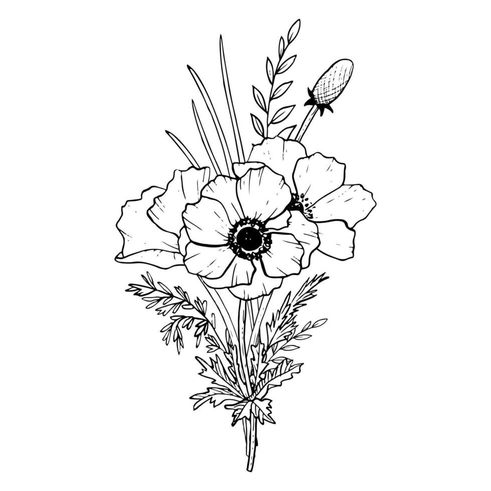 veld- klaprozen boeket met wild kruiden en gras vector illustratie met anemoon bloemen met knop voor voorjaar ontwerp en moeders dag kaarten. bloemen inkt hand- tekening