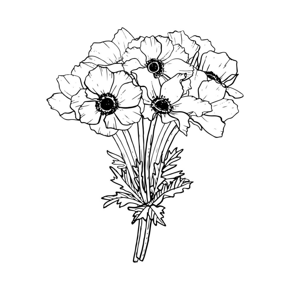 elegant zwart en wit boeket van anemoon bloemen vector illustratie. veld- klaprozen voor voorjaar bruiloft ontwerp en kleur boeken