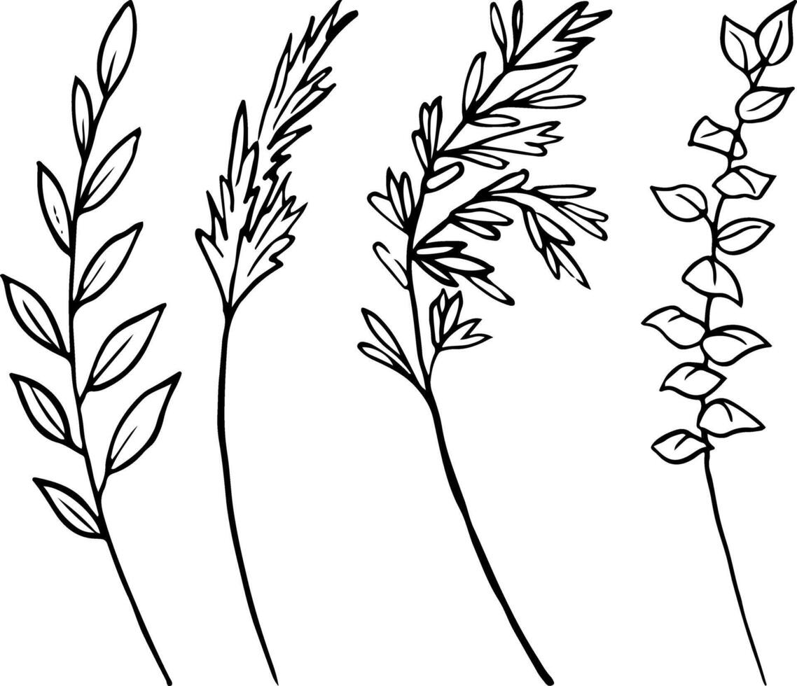 veld- gras vector illustratie set. botanisch wilde bloemen clip art voor voorjaar en zomer bloemen ontwerpen en rustiek bruiloften
