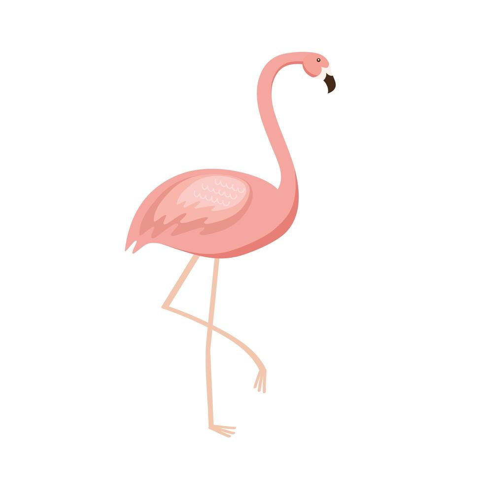 flamingo exotische vogel vector