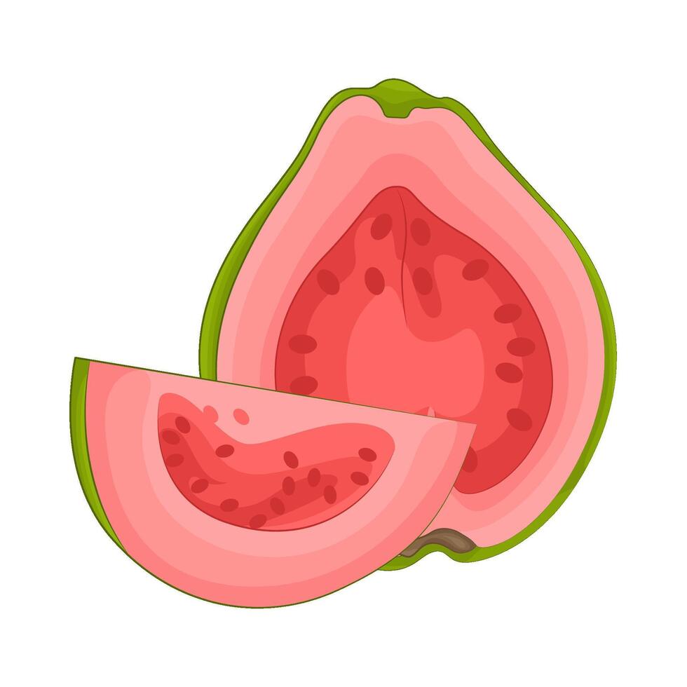 illustratie van guava plak vector