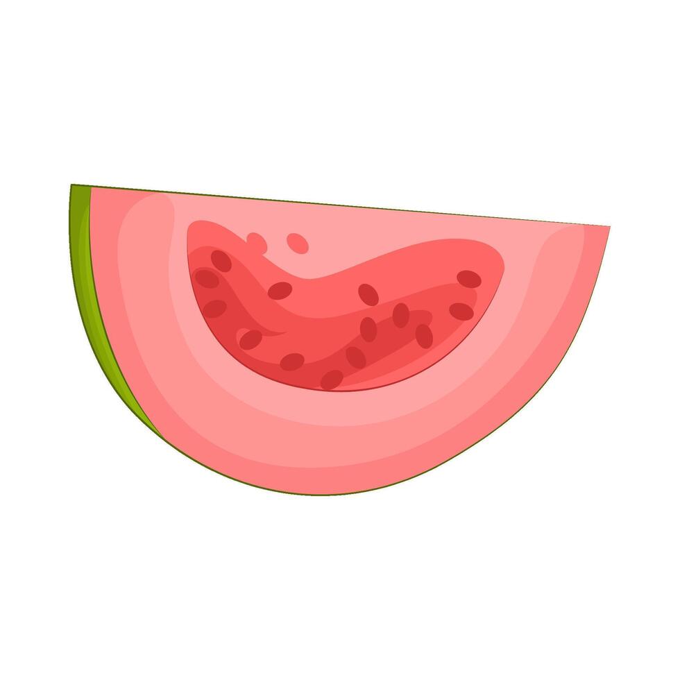 illustratie van guava plak vector