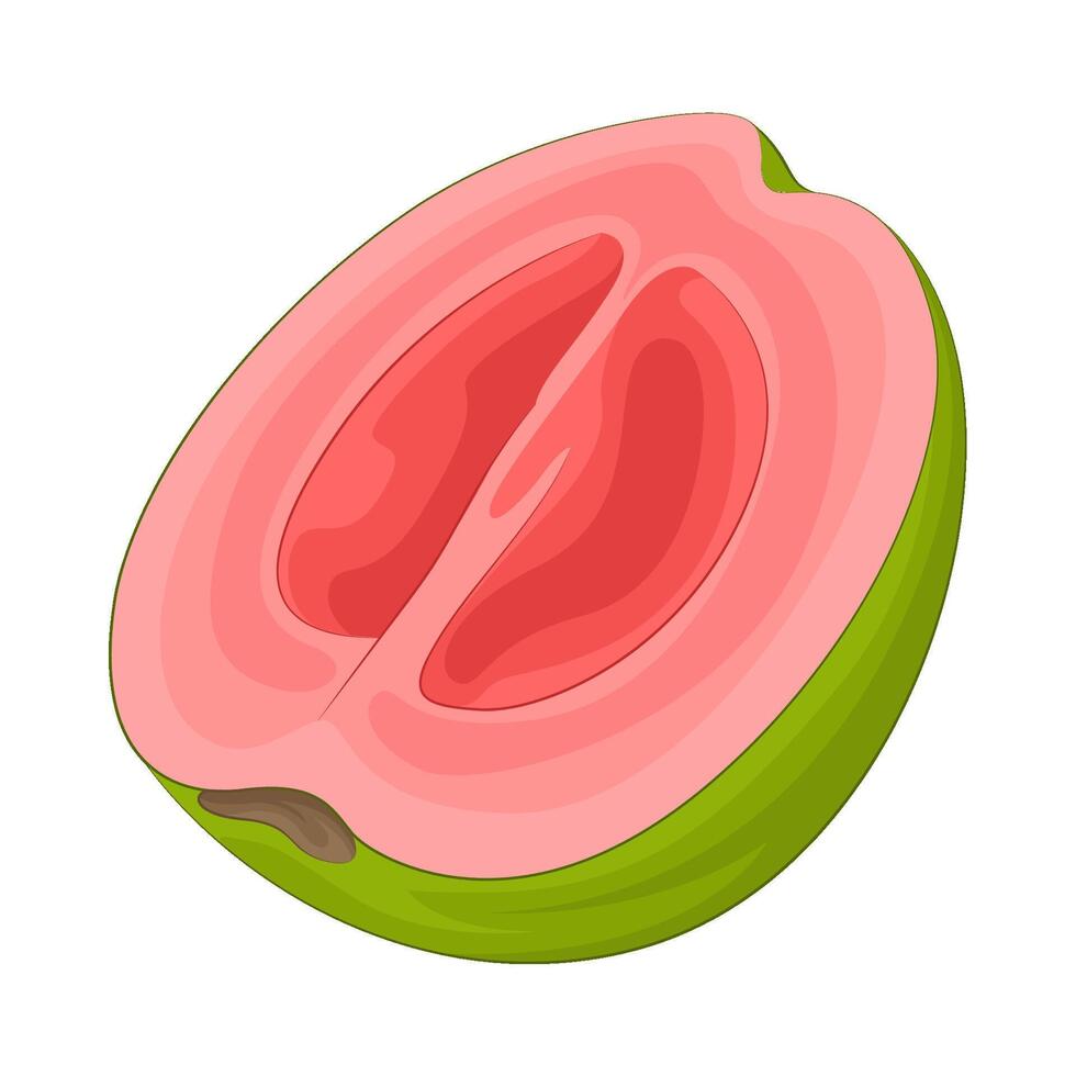 illustratie van voor de helft guava vector