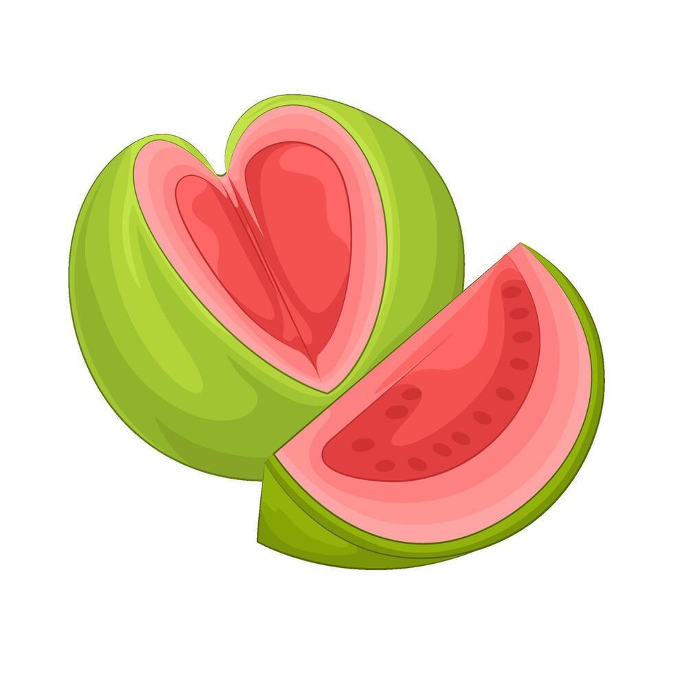 illustratie van guava vector