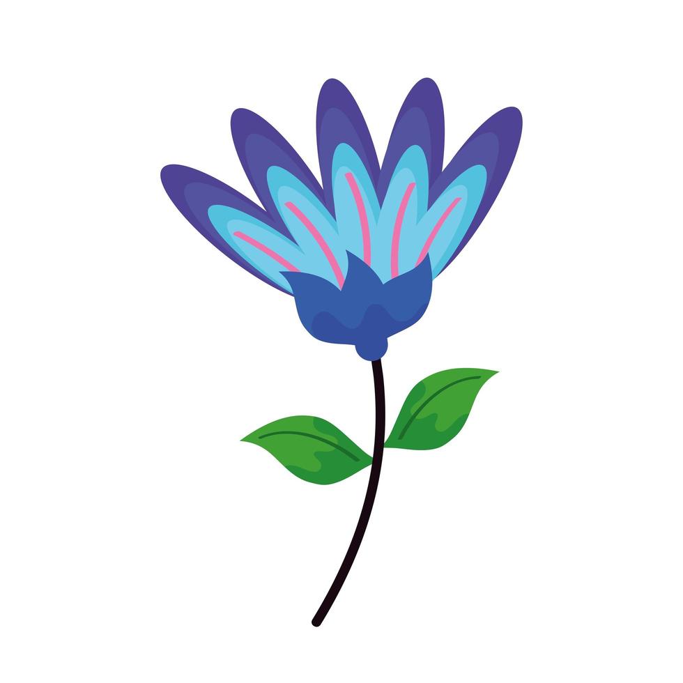 schattig madeliefje bloem blauw vector