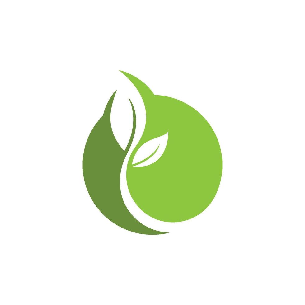 groen blad logo icoon vector