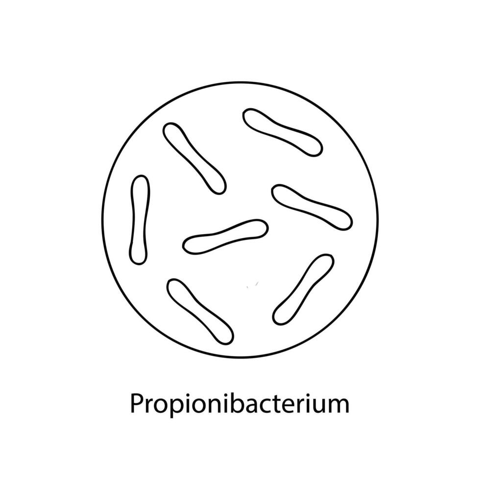 ziekmakend bacteriën. bacterieel micro-organisme. microbiologie, infographics. hand- getrokken tekening stijl. vector