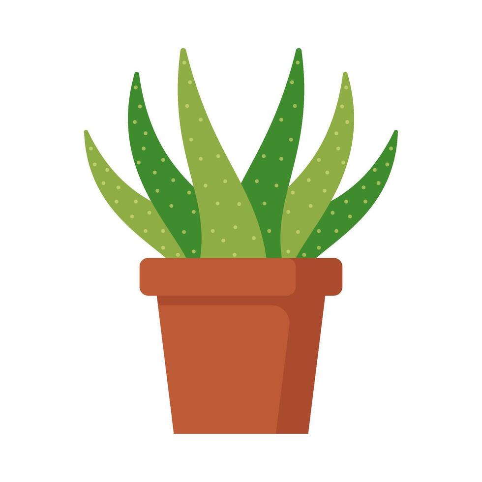 mooi sier- planten vlak illustratie vector