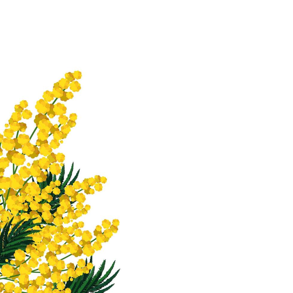 voorjaar geïsoleerd geel mimosa in de hoek van de spandoek. vector achtergrond met bloem clip art voor ontwerp, groet kaart en banier, bord, folder, uitverkoop, poster