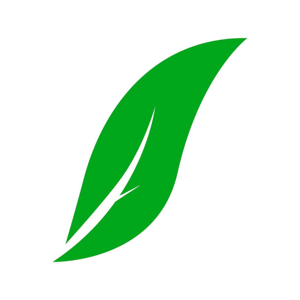 groen natuurlijk blad. blad icoon vector