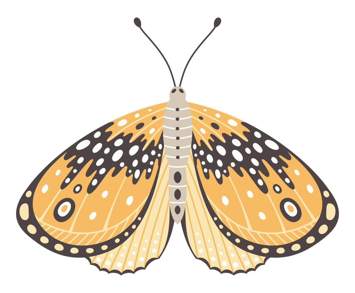 mot of vlinder vector illustratie. kleurrijk Vleugels met Golf abstract ornament, voorkant visie, een symbool voor tatoeëren ontwerp. zomer achtergrond, vlieg insect