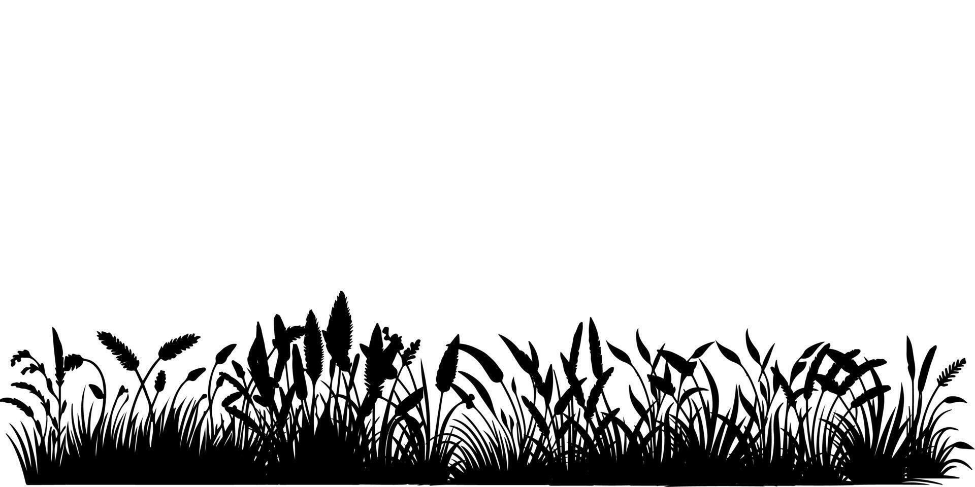 horizontaal zwart gras land- silhouetten. gecultiveerd gazon vector illustratie Aan wit achtergrond met kopiëren ruimte voor tekst