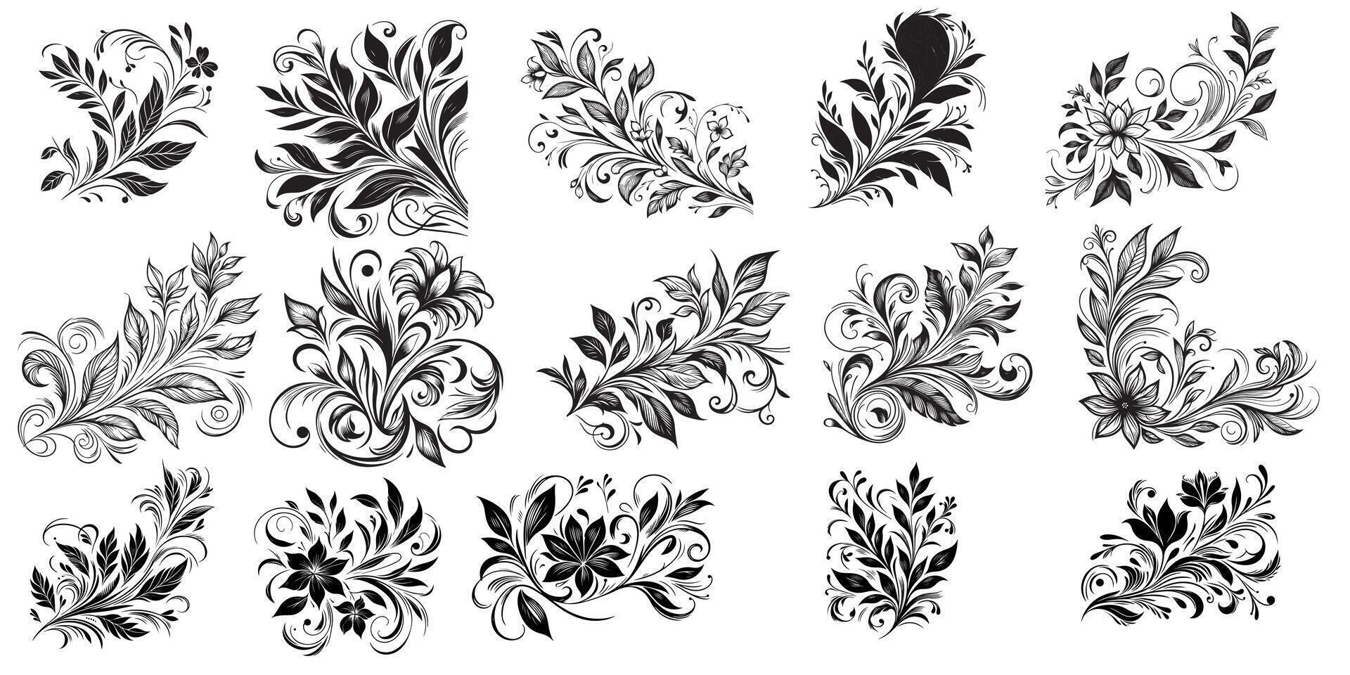 hand- trek van mooi bloemen ornament zwart bladeren. contour bloem blad reeks element vector