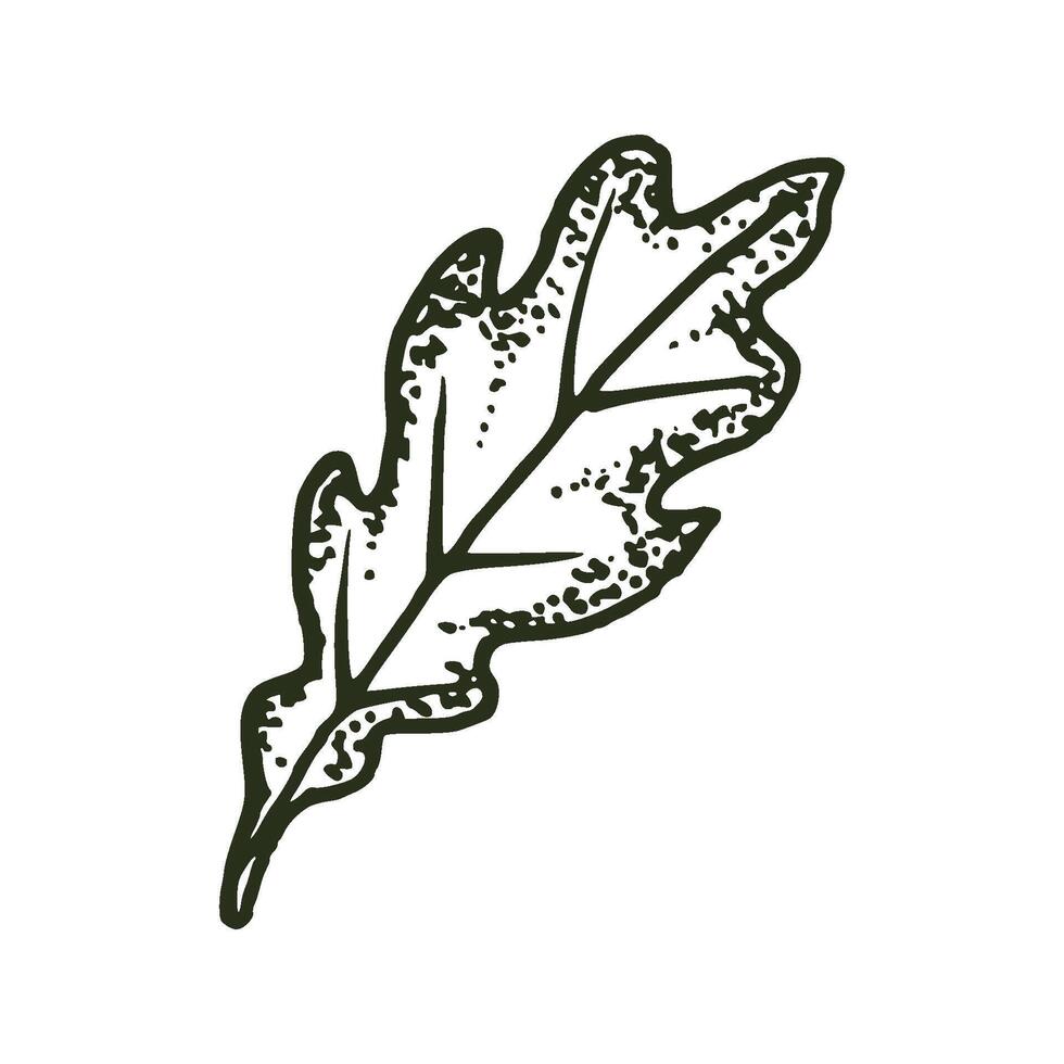 natuurlijk tropisch eik blad vector logo sjabloon illustratie eps 10