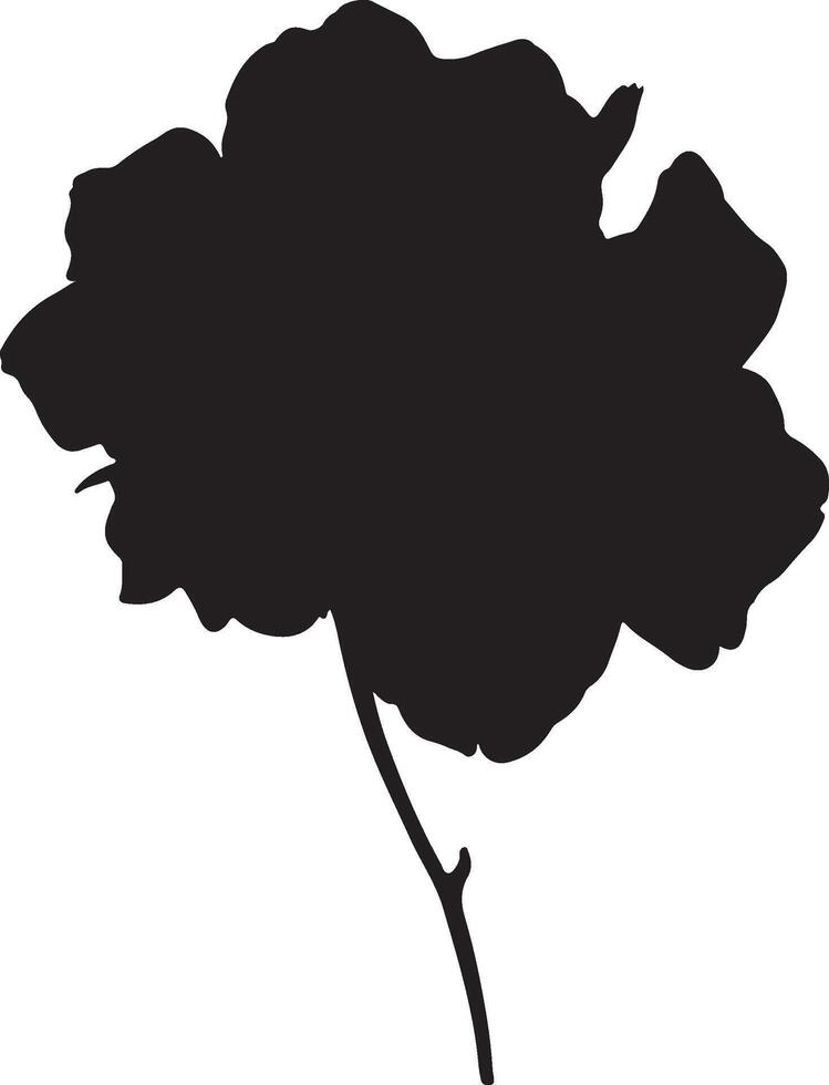 hortensia bloem silhouet vector illustratie wit achtergrond