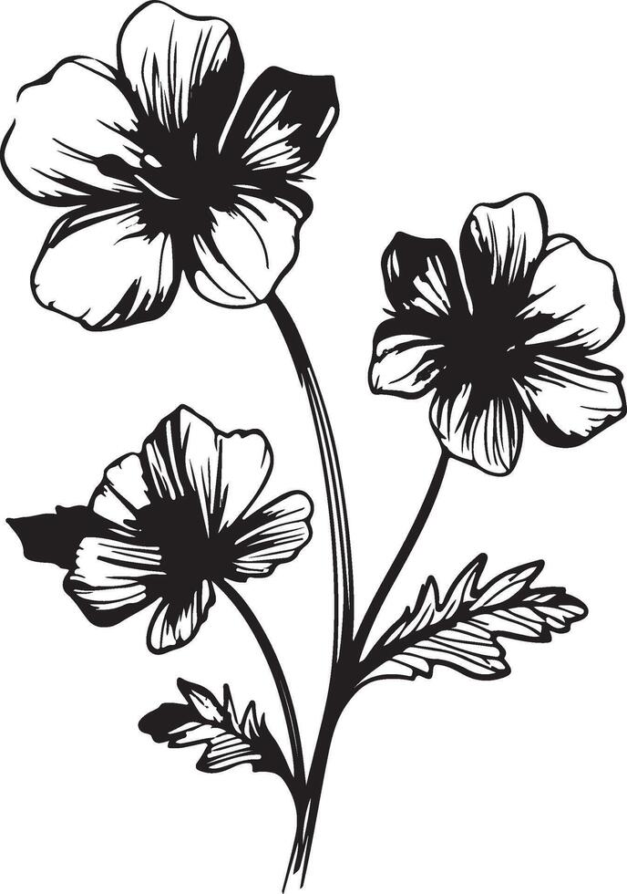 geranium bloem silhouet vector illustratie wit achtergrond